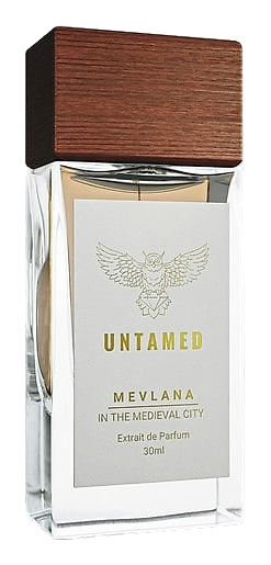 Mevlana In The Medieval City by Untamed
