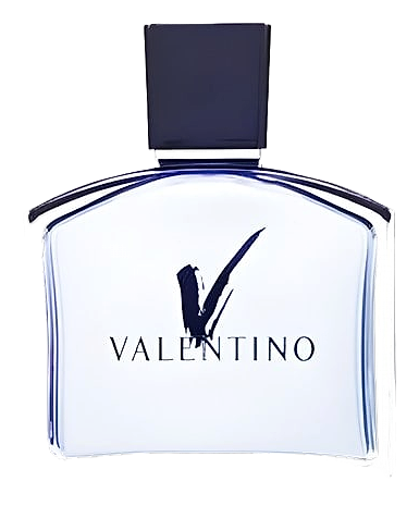 V Pour Homme by Valentino