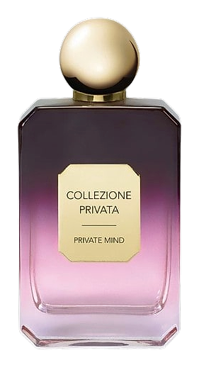 Private Mind by Valmont