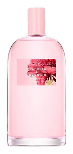 Rosa Sensual by Victorio & Lucchino