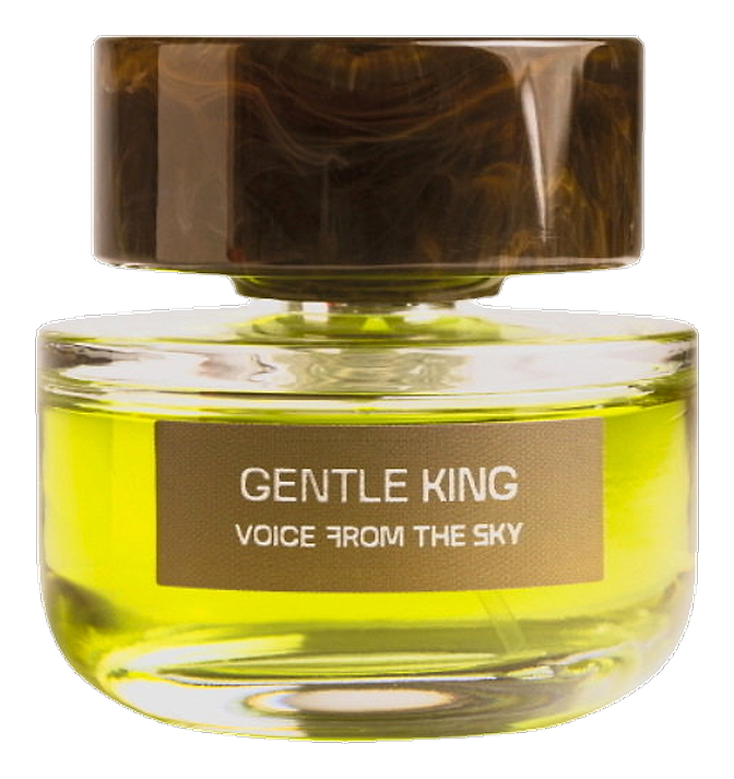 Gentle King by Voice From The Sky