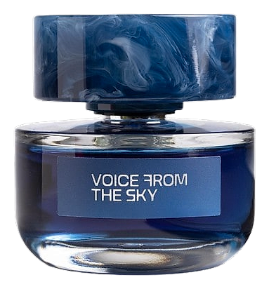 Voice From The Sky Voice From The Sky