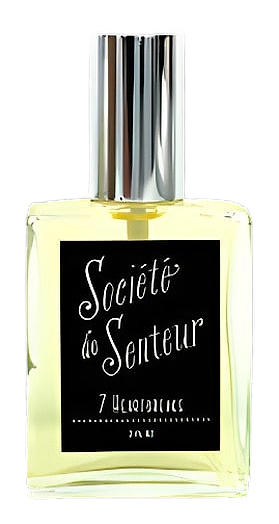 7 Heartbreaks by West Third Brand – Eau de Parfum