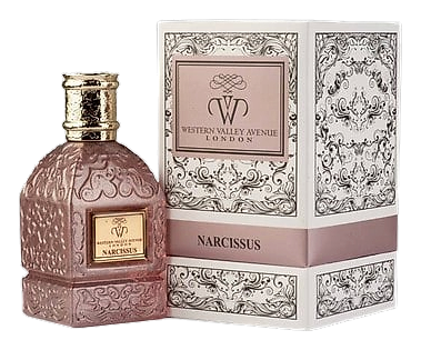 Narcissus