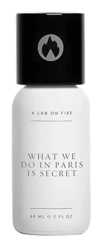 What We Do in Paris Is Secret by What We Do Is Secret