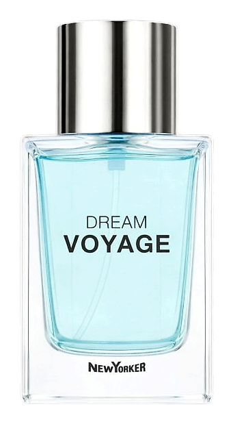 Dream Voyage