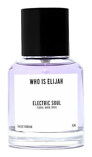 Electric Soul by Who is Elijah
