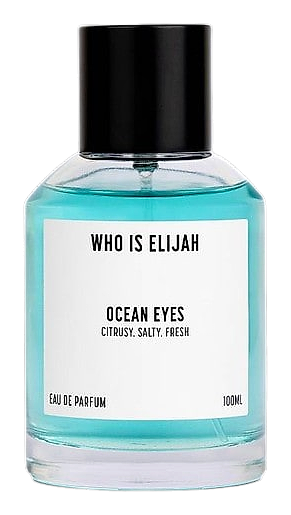 Ocean Eyes by Who is Elijah