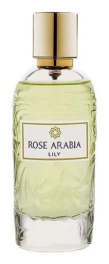 Rose Arabia Lily by WIDIAN