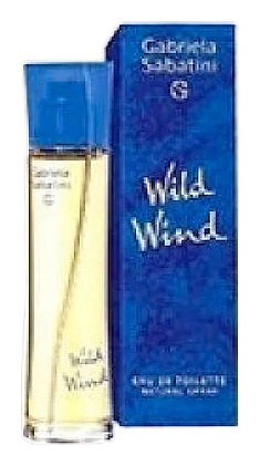 Wild Wind by Gabriela Sabatini