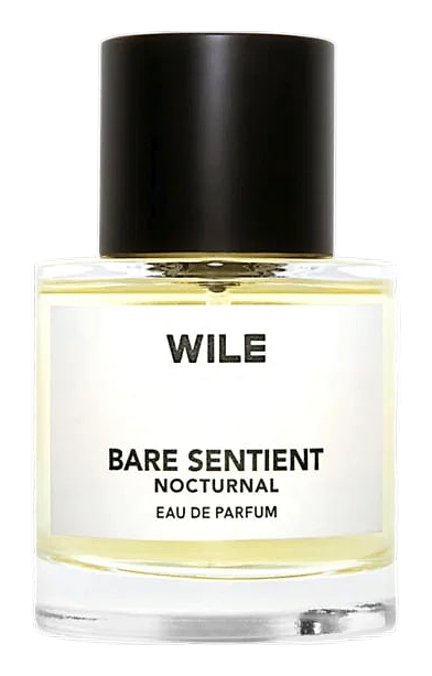 Bare Sentient Nocturnal