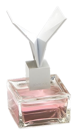 Plastique by X-Ray