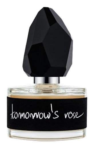 Tomorrow’s Rose by yDe