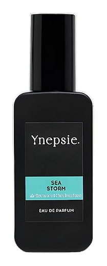 Sea Storm by Ynepsie