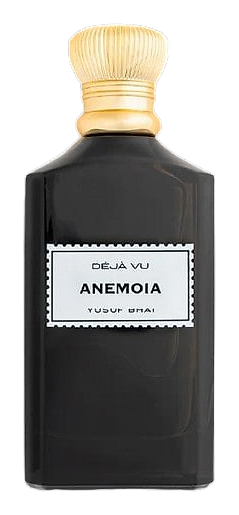 Anemoia by Yusuf Bhai