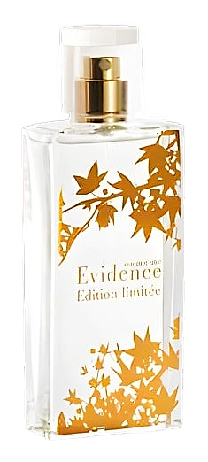 Comme Une Evidence Limited Edition 2008 by Yves Rocher
