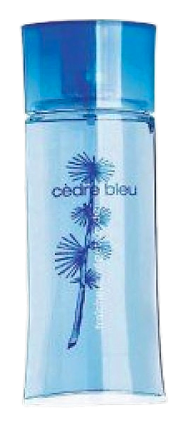 Fraicheur Vegetale Cedre Bleu by Yves Rocher