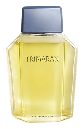 Trimaran 1986 by Yves Rocher