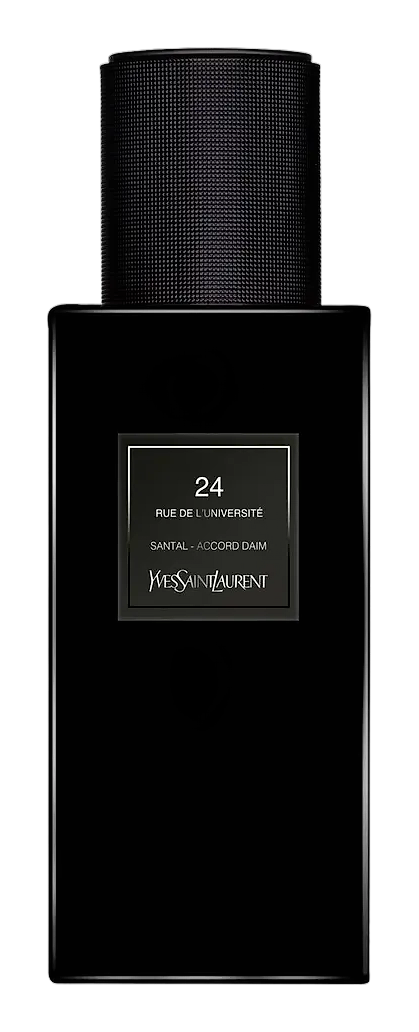 24 Rue de L'Université by Yves Saint Laurent
