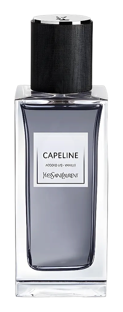 Capeline by Yves Saint Laurent