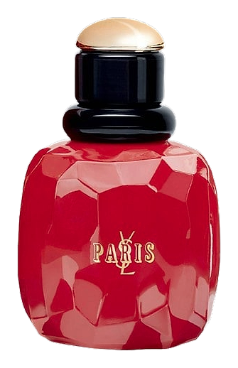 Paris Rebel Collector 2015 by Yves Saint Laurent