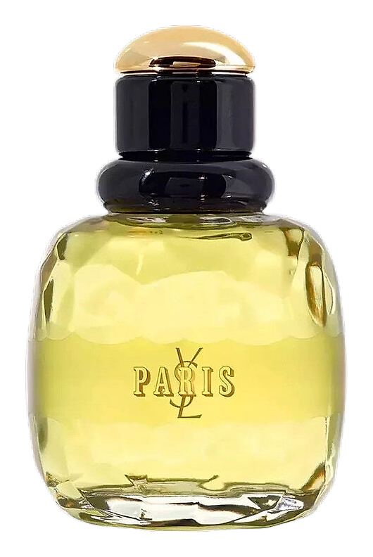 Paris by Yves Saint Laurent