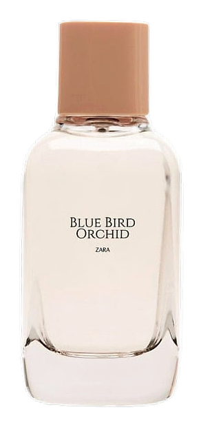 Blue Bird Orchid by Zara – Eau de Toilette