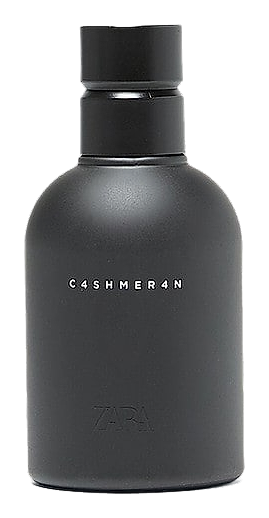 C4shmer4n 2019 by Zara