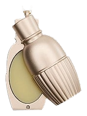 Coeur Nocturne Solid Perfume by Zara – Solid Perfume
