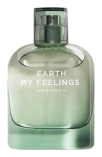 Earth My Feelings by Zara