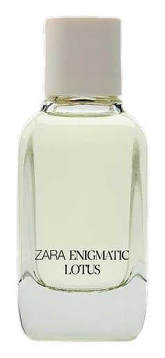 Enigmatic Lotus by Zara
