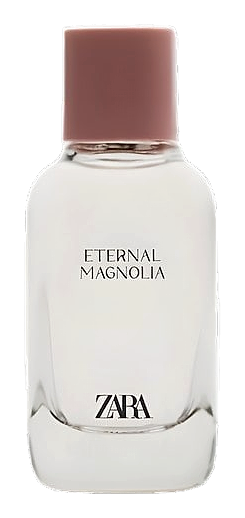 Eternal Magnolia by Zara