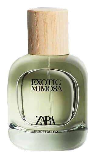 Exotic Mimosa by Zara