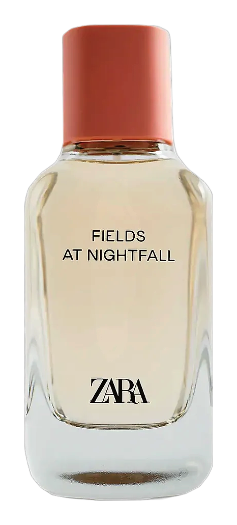 Fields at Nightfall 2020 by Zara
