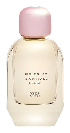Fields at Nightfall Blush by Zara