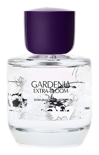 Gardenia Extra-Bloom by Zara