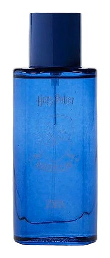 Harry Potter Ravenclaw by Zara