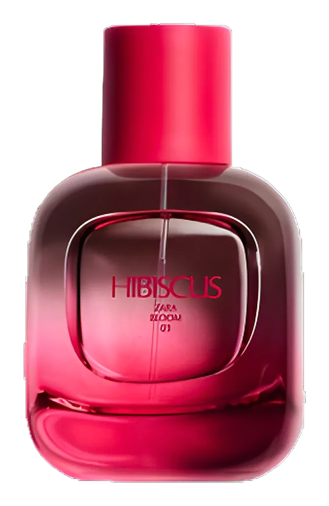 Hibiscus by Zara