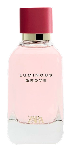 Luminous Grove by Zara – Eau de Toilette