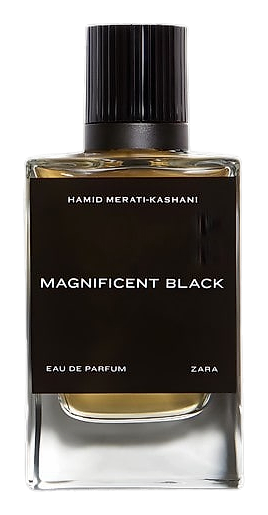 Magnificent Black by Zara
