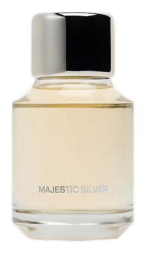 Majestic Silver by Zara