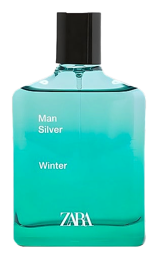 Man Silver Winter by Zara