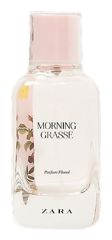 Morning Grasse by Zara
