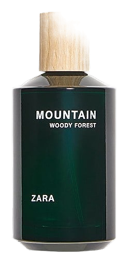 Mountain Woody Forest by Zara