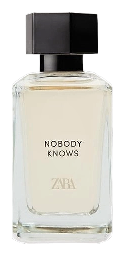 Nobody Knows (into The Woods) by Zara