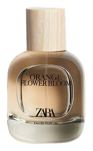 Orange Flower Bloom by Zara