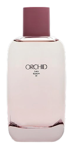 Orchid Bloom 01 by Zara