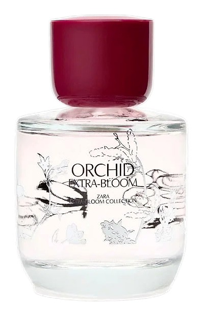 Orchid Extra-Bloom by Zara – Eau de Toilette