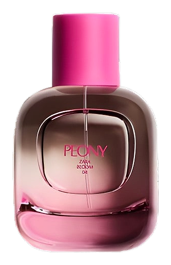 Peony by Zara