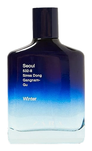 Seoul 532-8 Sinsa Dong Gangnam-Gu Winter by Zara